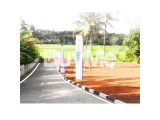 LAND FOR SALE ( RAN NIYARA ) WELIVERIYA - SAVI LANDS