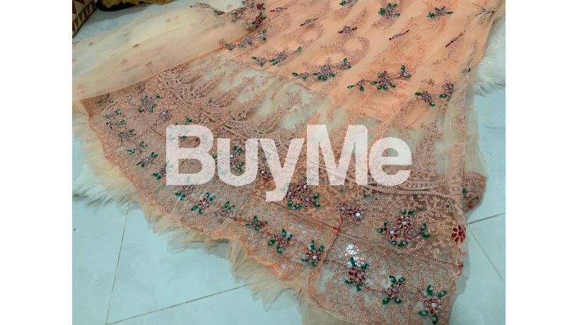 heavy-embroidery-stone-and-mirror-worked-dress-big-2