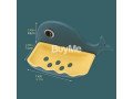 cute-cartoon-whale-shaped-soap-holder-small-4