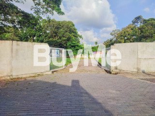 LAND FOR SALE IN WATTALA ( SAVI LANDS )