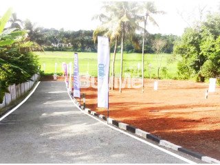 LAND FOR SALE RAN NIYARA WELIVERIYA - SAVI LANDS