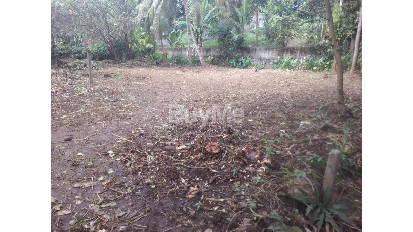 land-for-sale-in-kiribathgoda-big-3