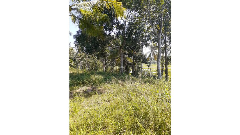 land-for-sale-at-matara-big-5