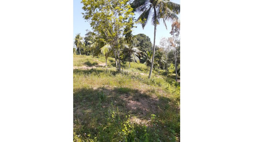 land-for-sale-at-matara-big-2