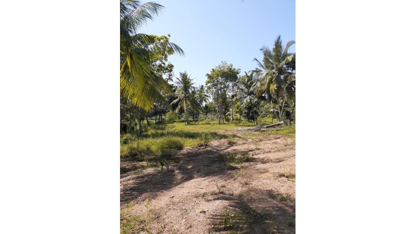 land-for-sale-at-matara-big-0