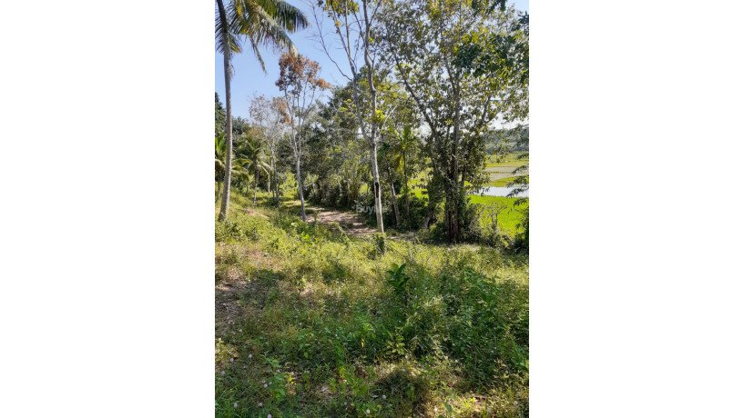 land-for-sale-at-matara-big-6