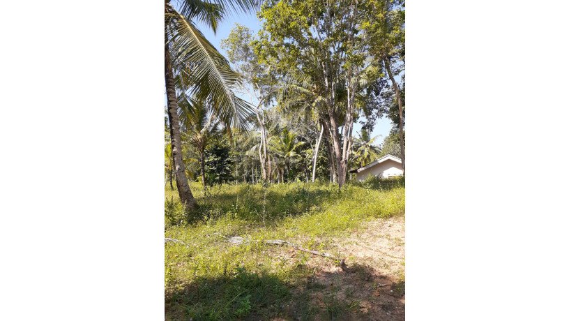 land-for-sale-at-matara-big-1