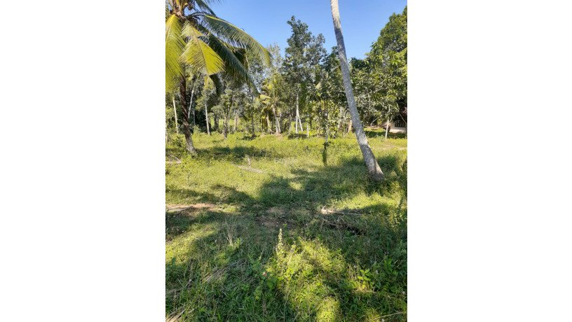 land-for-sale-at-matara-big-3