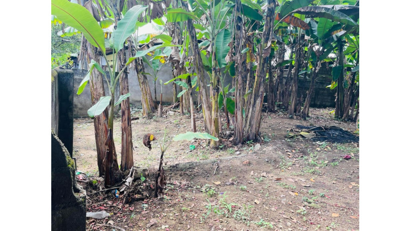 land-for-sale-big-2