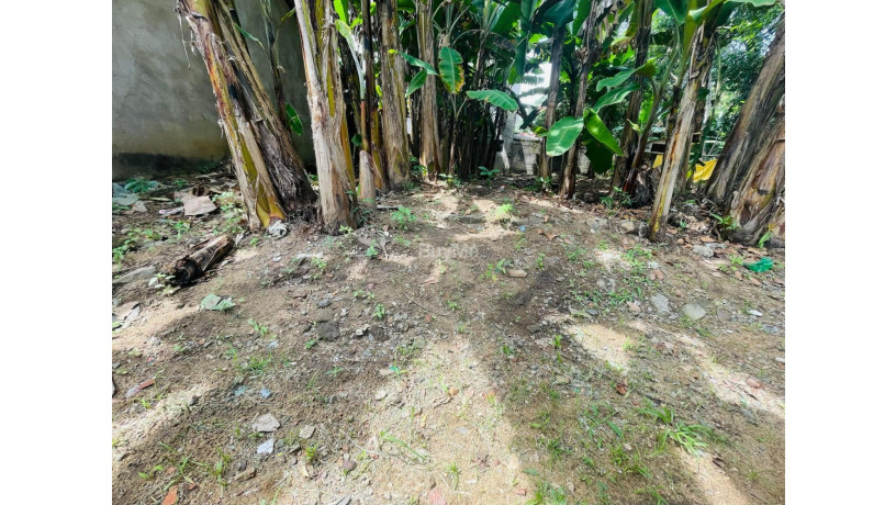 land-for-sale-big-3