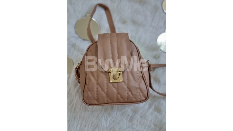 ladies-bags-beige-color-big-0