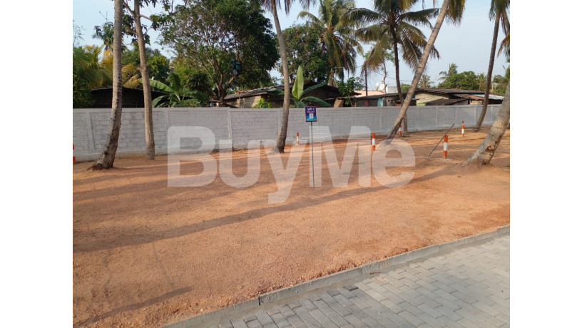 land-for-sale-in-wattala-savi-lands-big-0