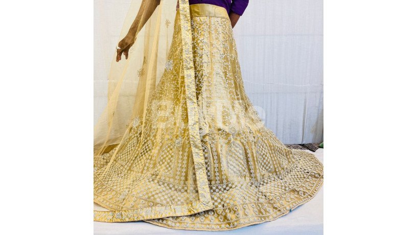 net-lehenga-with-coding-work-light-yellow-beige-big-0