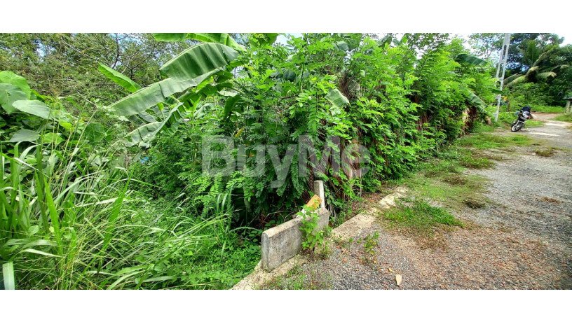 valuable-land-for-sale-in-bandaragama-at-welmilla-big-7