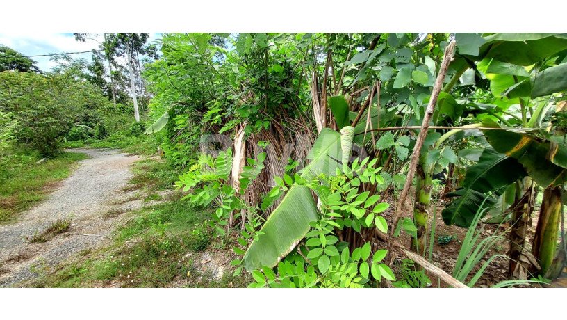 valuable-land-for-sale-in-bandaragama-at-welmilla-big-3