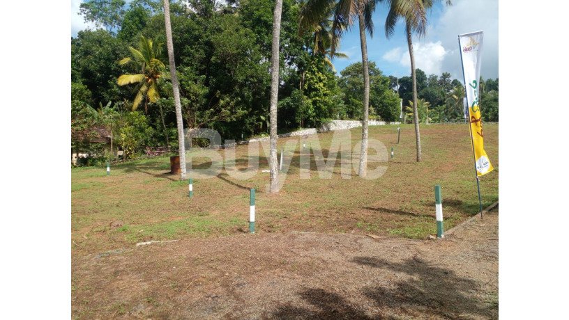 land-for-sale-in-weliveriya-ran-niyara-by-savi-lands-big-1