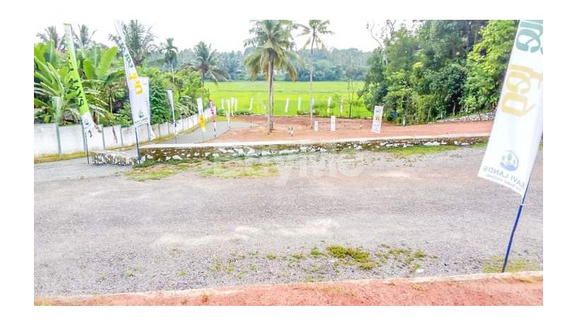 land-for-sale-in-weliveriya-ran-niyara-by-savi-lands-big-0