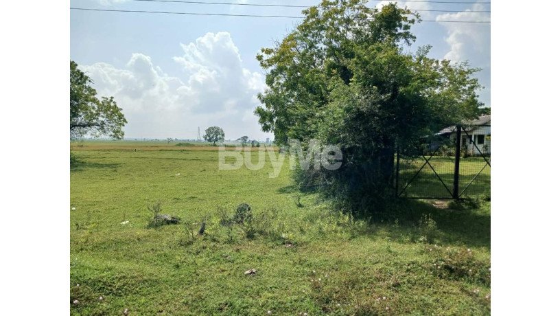 land-for-sale-in-valathapitty-main-street-kalmunai-big-0