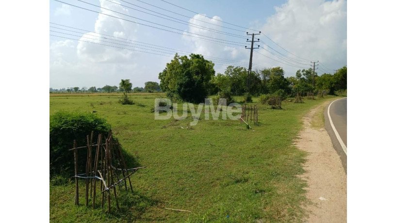 land-for-sale-in-valathapitty-main-street-kalmunai-big-1