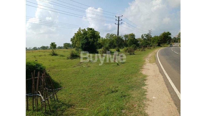 land-for-sale-in-valathapitty-main-street-kalmunai-big-2