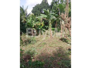 20 PERCHES OF LAND FOR SALE IN GAMPAHA