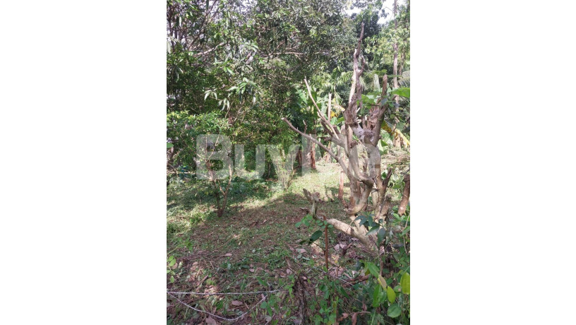 20-perches-of-land-for-sale-in-gampaha-big-5