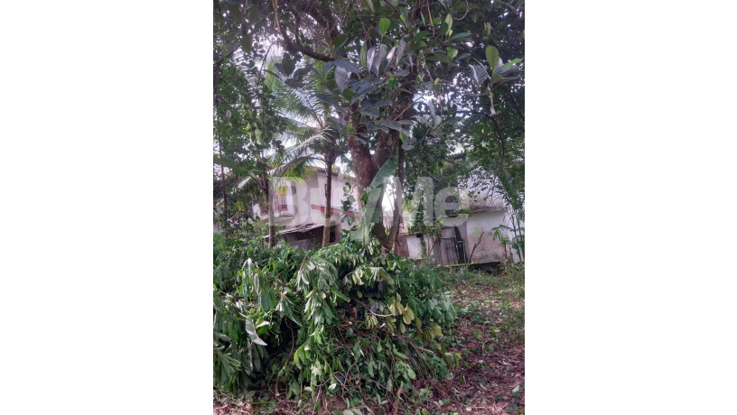 20-perches-of-land-for-sale-in-gampaha-big-2