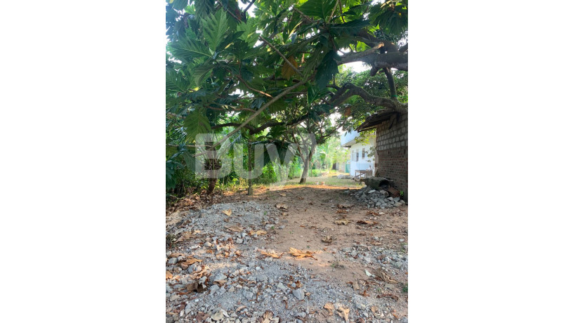 4-storey-beautiful-houses-and-garage-for-sale-in-dehiwala-big-6