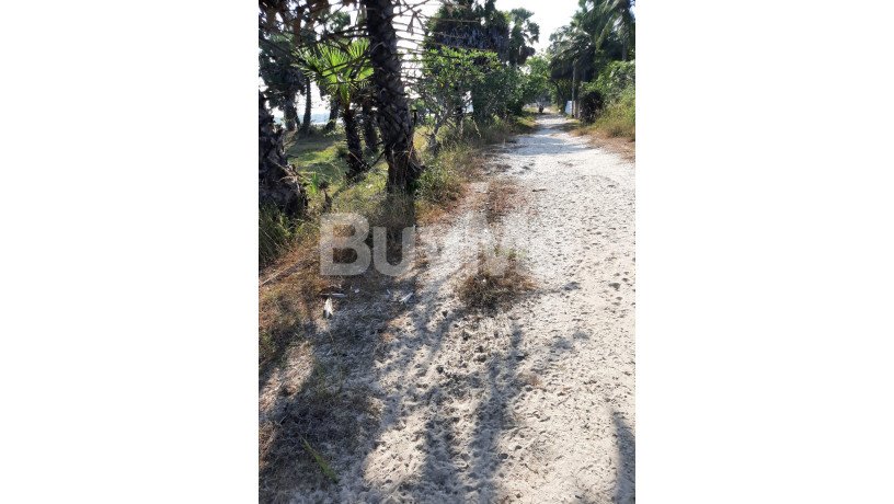 valuable-huge-land-for-sale-in-jaffna-naavatkuzhi-big-6