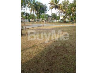 LAND FOR SALE IN WATTALA - SAVI LANDS