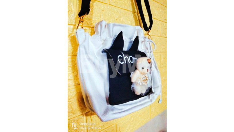 new-side-bag-design-with-teddy-big-0