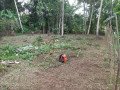 land-for-sale-in-polgahawela-small-1