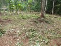 land-for-sale-in-polgahawela-small-2