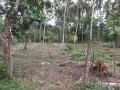 land-for-sale-in-polgahawela-small-0