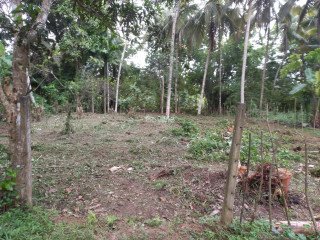 LAND FOR SALE IN POLGAHAWELA