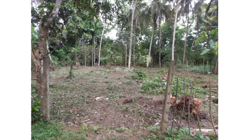 land-for-sale-in-polgahawela-big-0