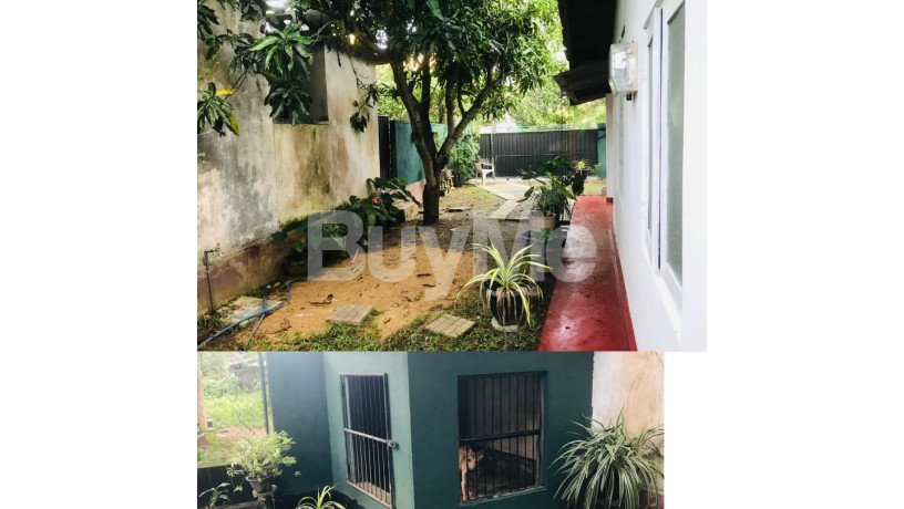 valuable-house-for-sale-in-kandana-bopitiya-big-2