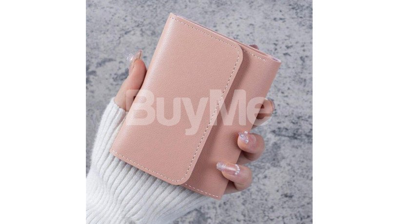 small-purse-pink-big-1