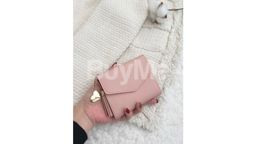 small-purse-pink-big-3