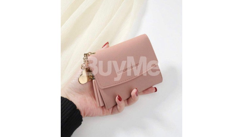 small-purse-pink-big-4