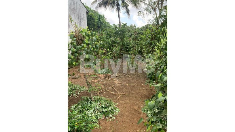 valuable-land-for-sale-in-athurugiriya-big-4