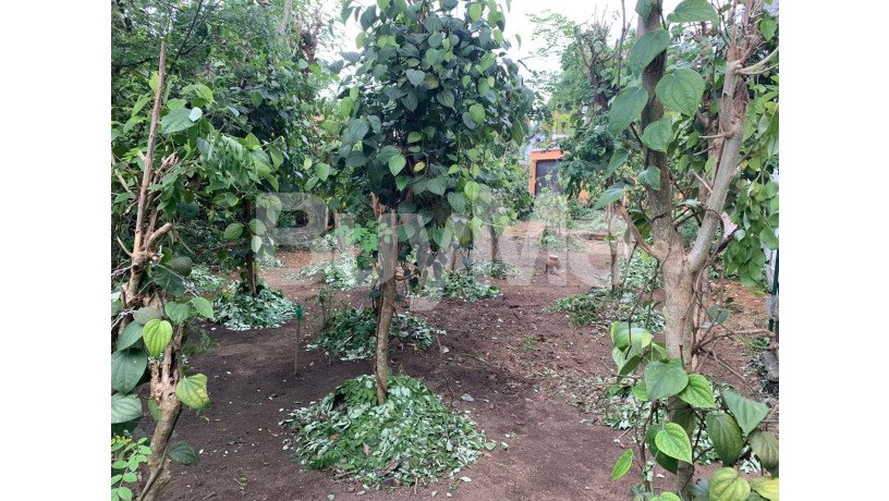 valuable-land-for-sale-in-athurugiriya-big-2