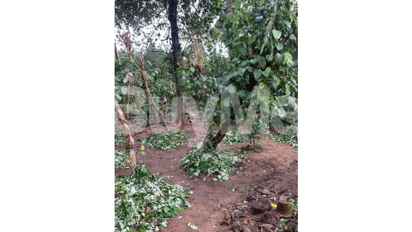 valuable-land-for-sale-in-athurugiriya-big-3