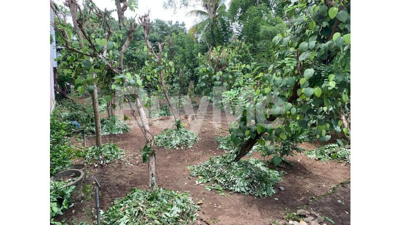 valuable-land-for-sale-in-athurugiriya-big-5