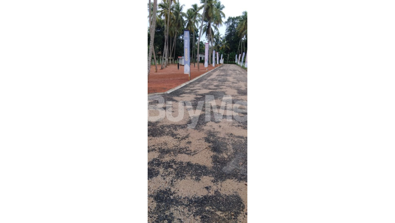land-for-sale-in-seeduwa-golden-gate-by-savi-lands-big-1