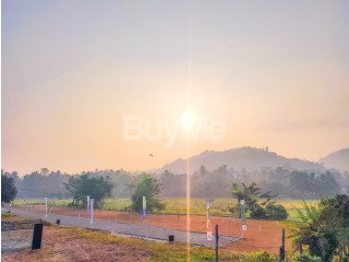 LAND FOR SALE IN KADUWELA - GREEN VALLEY BY SAVI LANDS