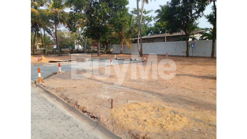 land-for-sale-in-wattala-savi-lands-big-0