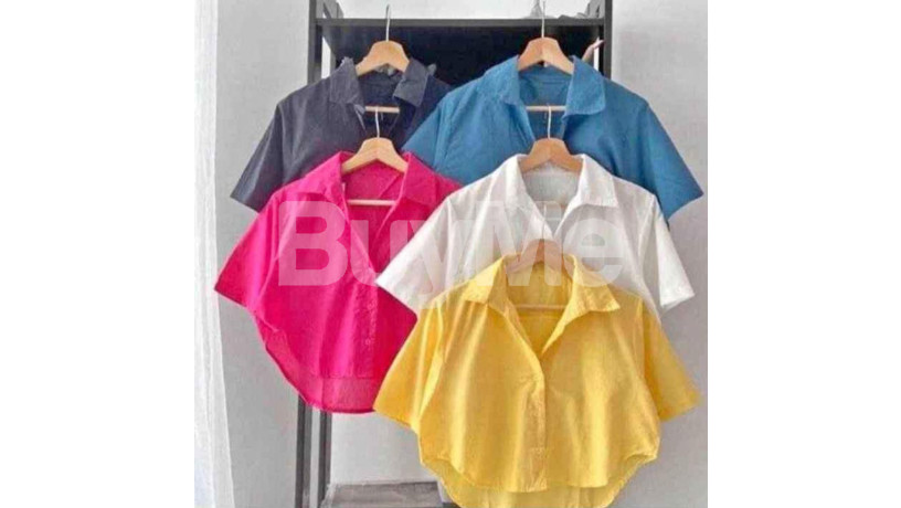 ladies-crop-top-big-0