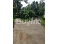 valuable-land-for-sale-in-molagoda-kegalle-small-1