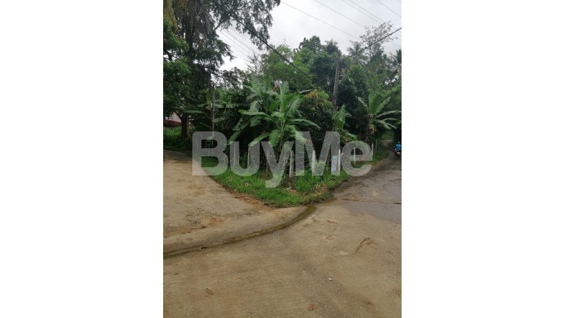 valuable-land-for-sale-in-molagoda-kegalle-big-0